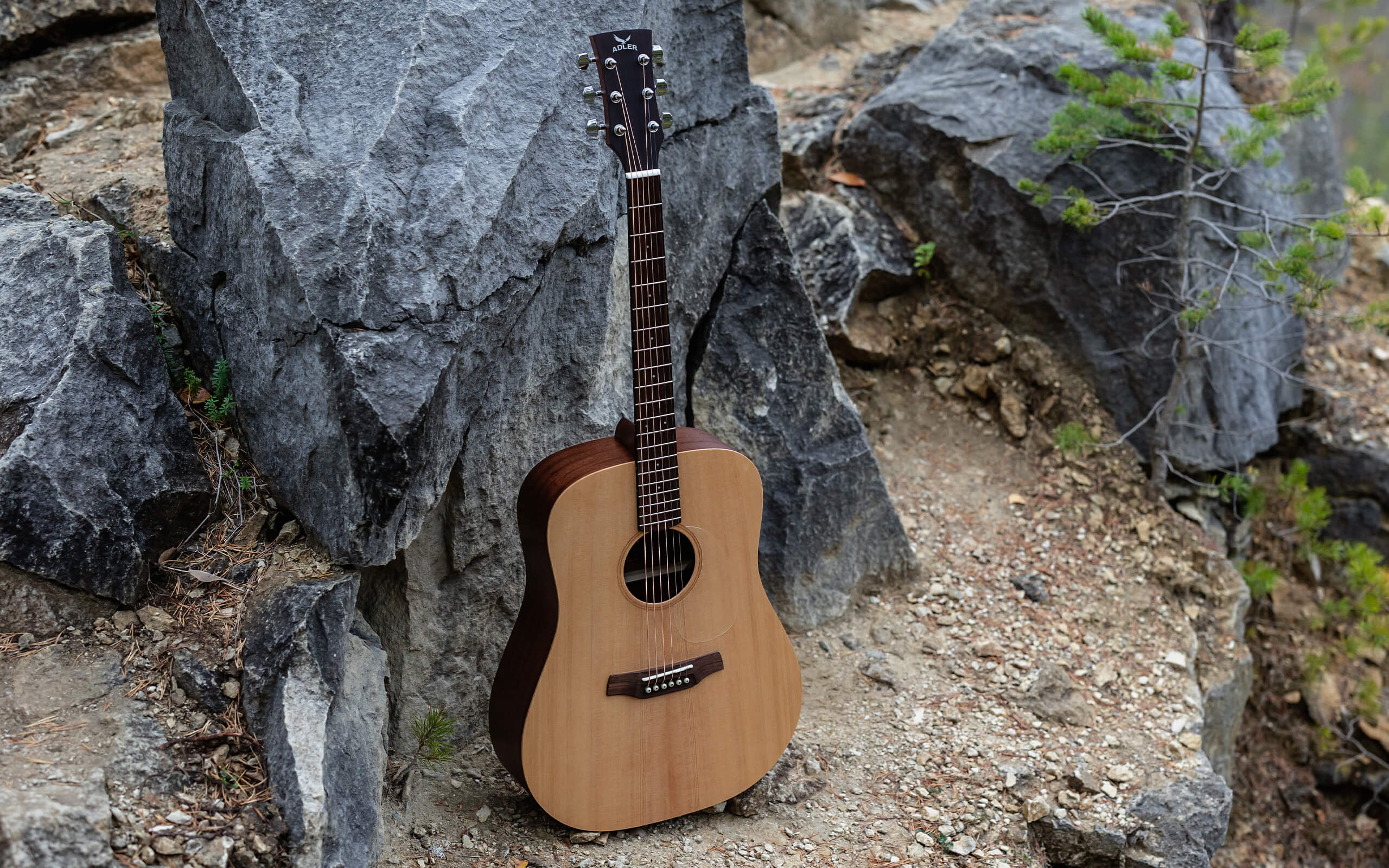 Welcome to Adler Guitars!