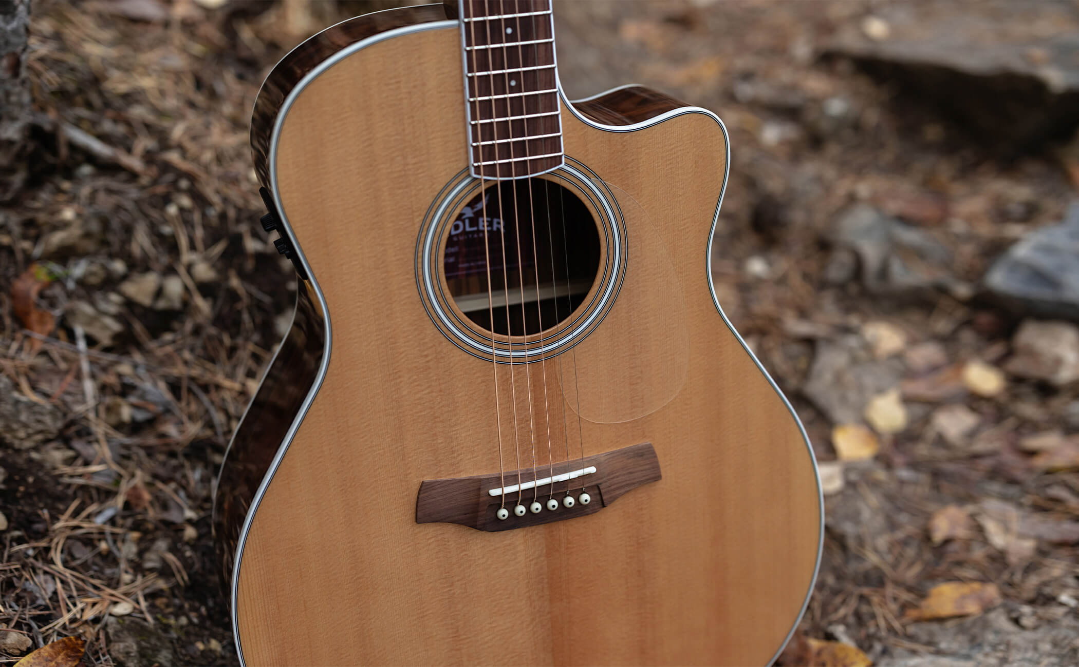 Adler Guitars - Home Slider